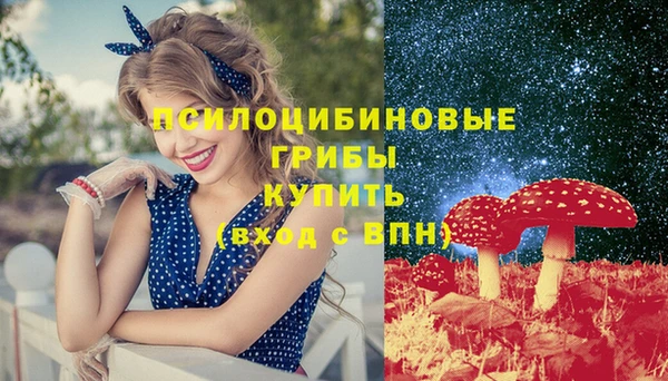 ПСИЛОЦИБИНОВЫЕ ГРИБЫ Белоозёрский