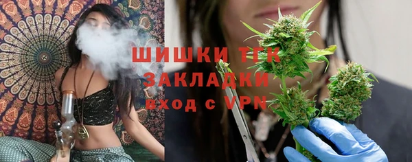 ПСИЛОЦИБИНОВЫЕ ГРИБЫ Белоозёрский