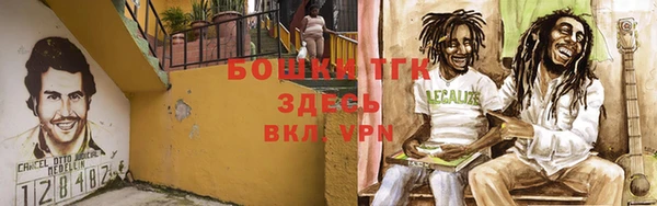 ПСИЛОЦИБИНОВЫЕ ГРИБЫ Белоозёрский