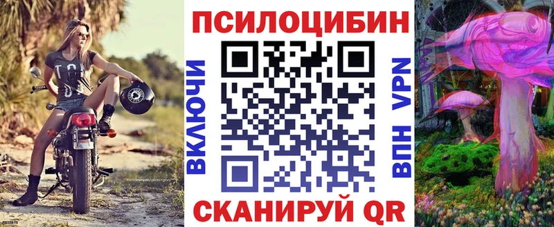 ссылка на мегу зеркало  Гай  Галлюциногенные грибы Cubensis  магазин продажи  